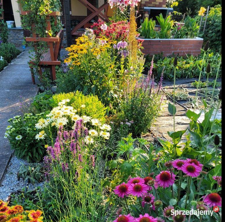 Działka rekreacyjna Wrocław sprzedam