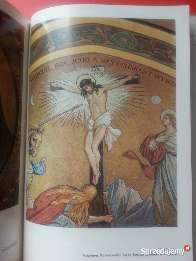 2927 Techniki Malarskie Spoiwa Mineralne Szczecin