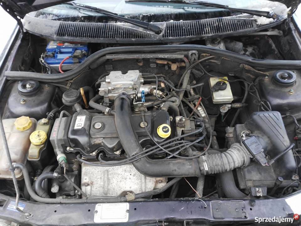 Ford Escort 14 klimatyzacja Zarejestrowany w Polsce warmińsko-mazurskie Elbląg sprzedam