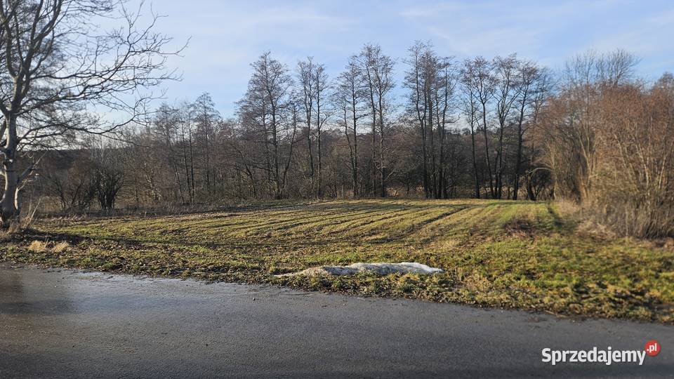 Działka w Jakubowicach Konińskich