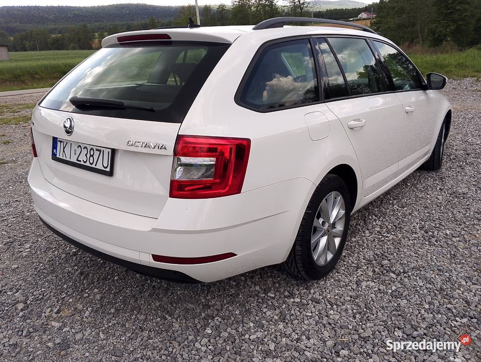 Skoda Octavia 2019 Bodzentyn