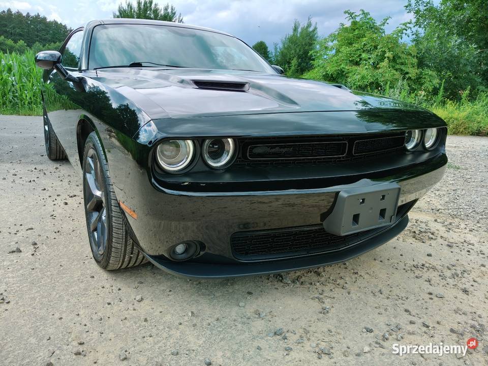 Dodge Challenger SXT PLUS 36 V6 BLACK TOP 2019r 3600cm3 Lublin
