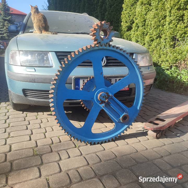 Koła żębate przekładnia maszyna urządzenie Radzyń Podlaski