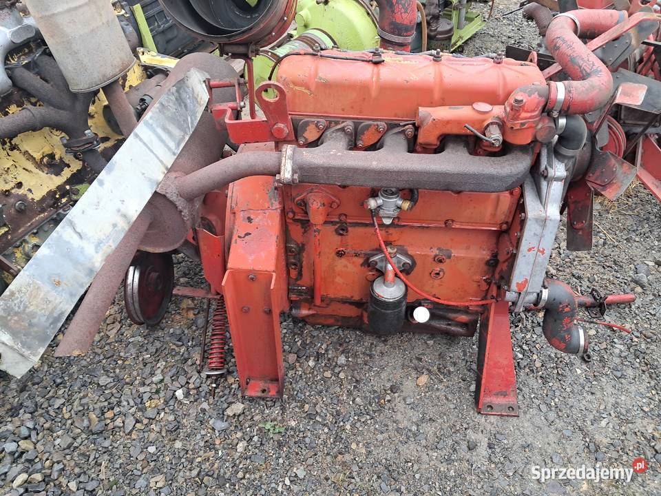 Silnik international case d 239 4 cylindrowy ihc Radom sprzedam