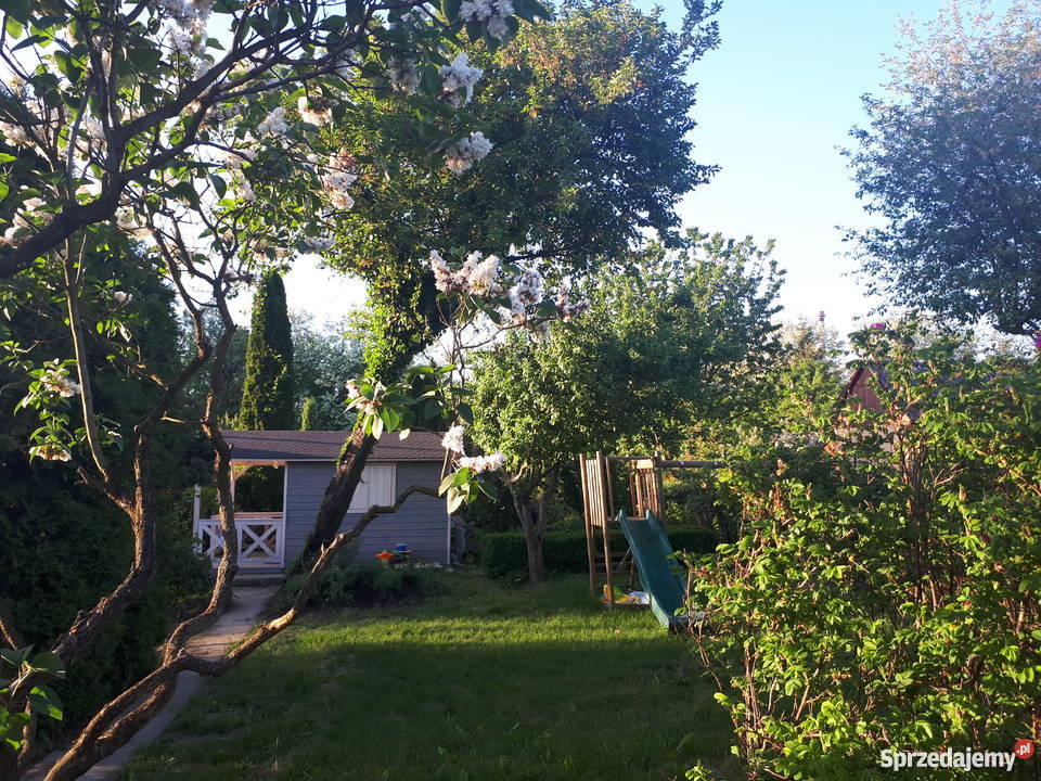 Działka ROD Tarnów z BASENEM TRAMPOLINĄ PLACEM