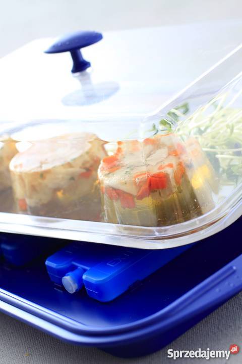 Taca z wkładami chłodzącymi stal nierdzewna Poczesna