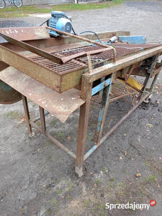 Sortownik elektryczny do ziemniaków nieuszkodzony Radzyń Podlaski