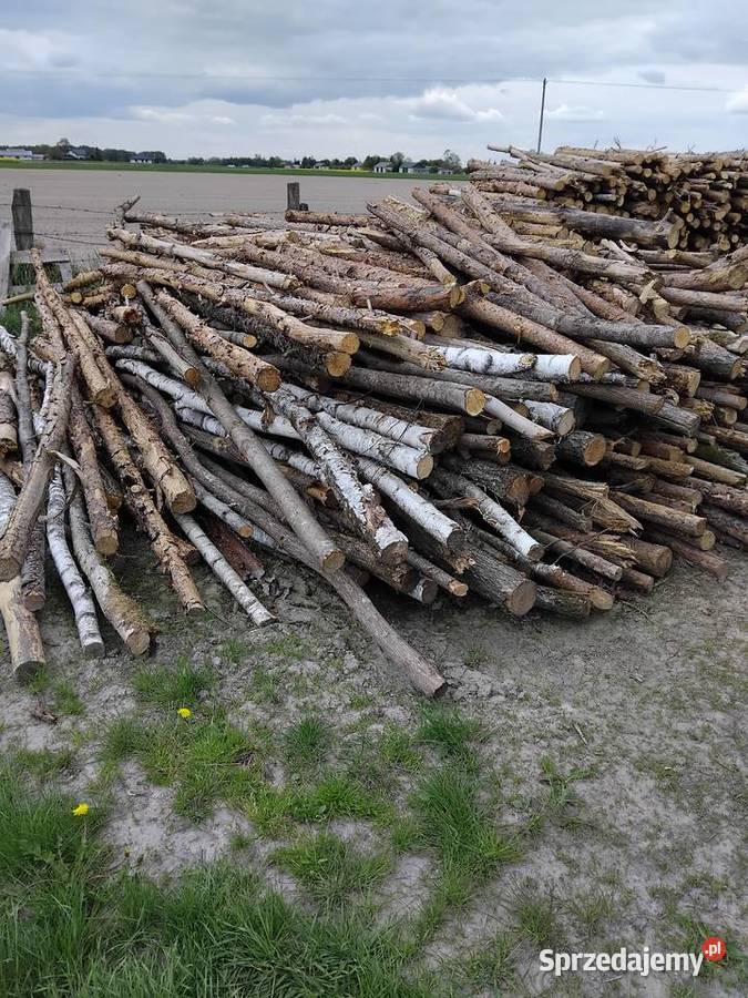 Sprzedam drewno opałowe mieszane
