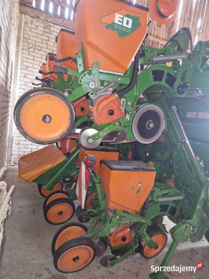 Siewnik kukurydzy Amazone ED 602K talerzowy 8 Bielsk Podlaski