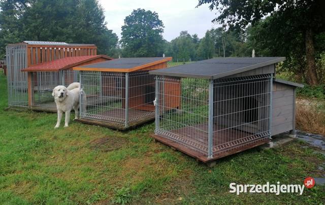 buda kojec zagroda psa i psów boks woliera Skierniewice