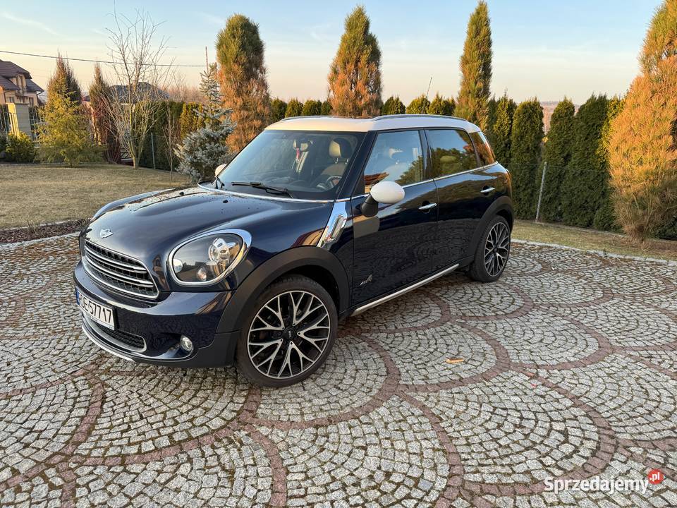 Mini Countryman Salon Polska Bezwypadkowy Jasło