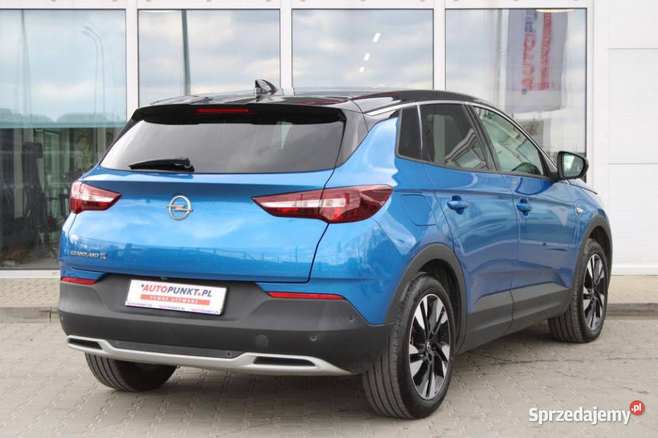 Opel Grandland X 2021r Pam Foteli Podgrzew i 1499cm3 pomorskie Gdańsk