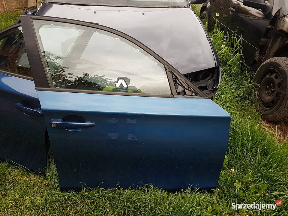 Drzwi E87 Sydneyblau Sandomierz