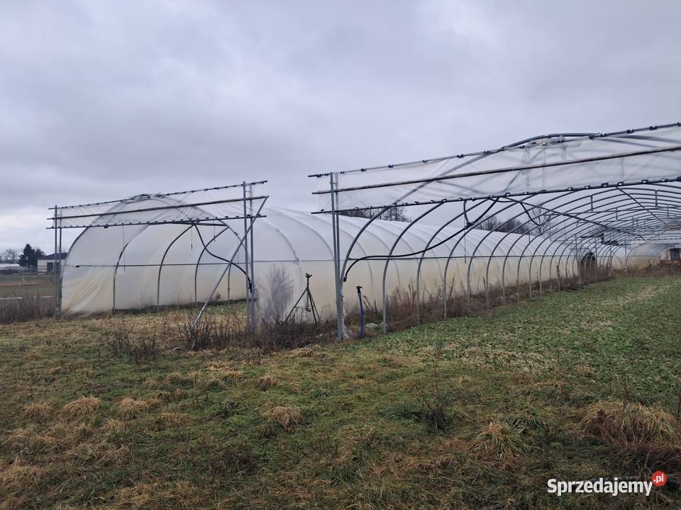 Tunel Foliowy 315 x 7