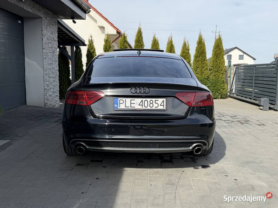 Audi A5 30 TDI Quattro Pełne SLinę DCC BO S Leszno