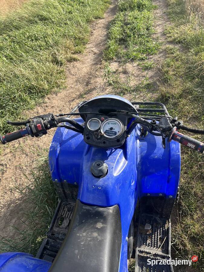 Quad eton 100 2t Pałecznica