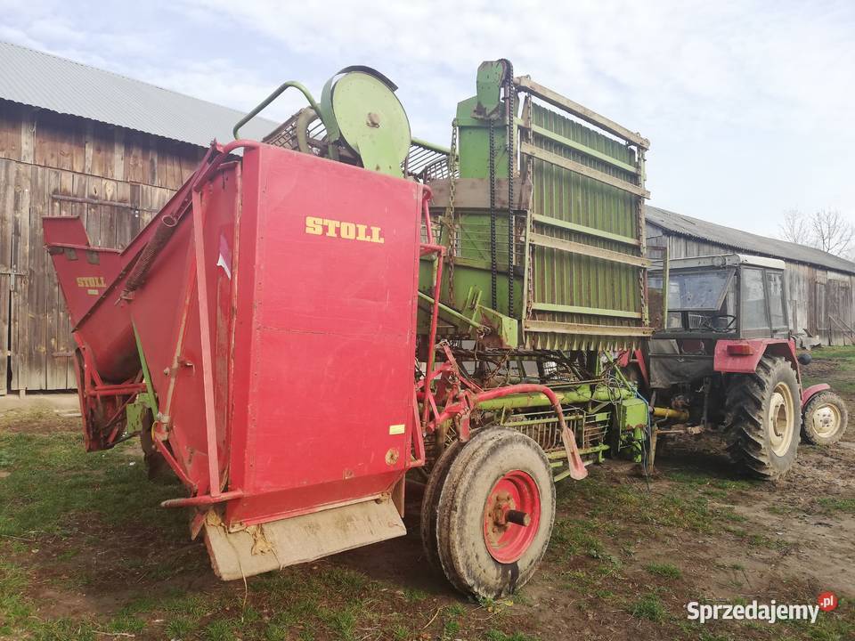 STOLL V50 Kombajn do buraków nieuszkodzony Suche Lipie