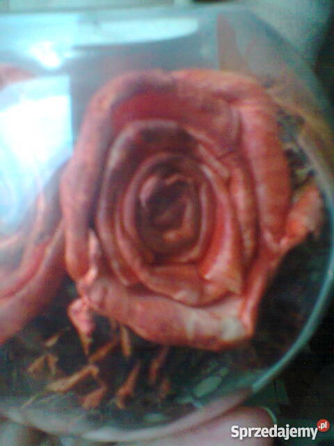 Świeczniki ozdobne wielokolorowy Dekoracje i ozdoby Szczecin