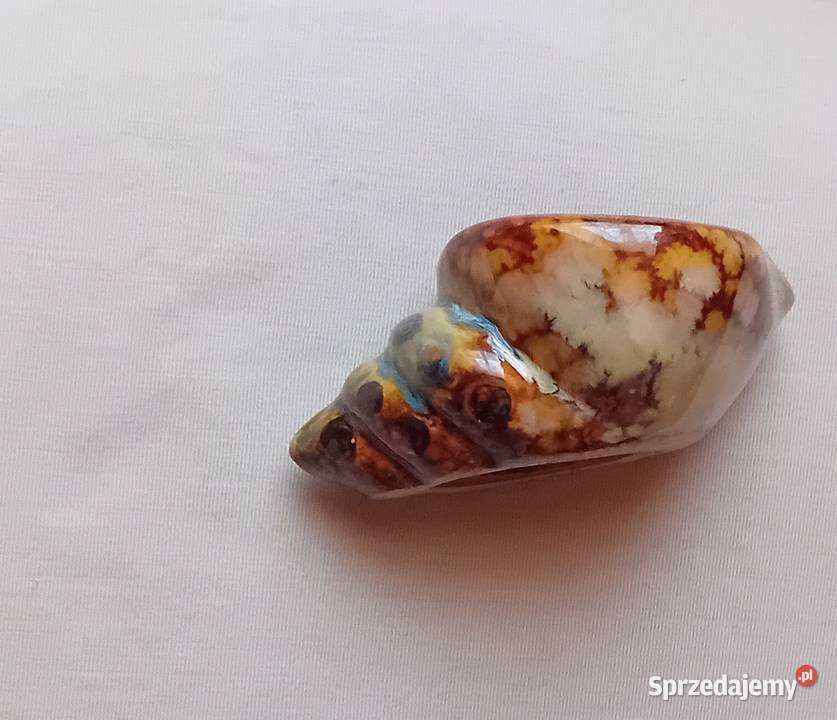 Ceramiczny szkliwiony pojemnik w formie muszli wielkopolskie sprzedam