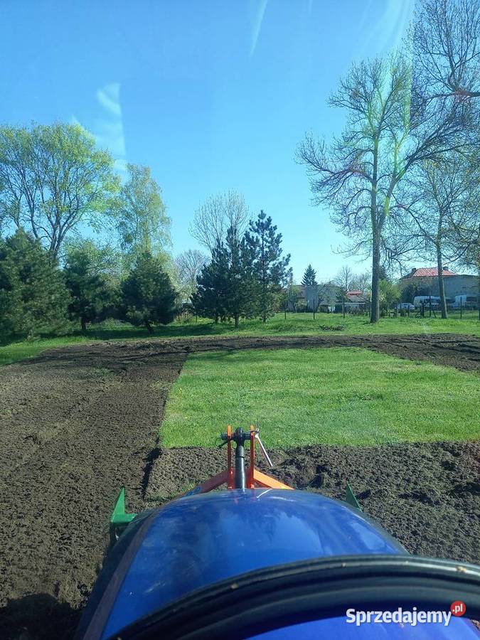 Zakładanie trawnika przygotowanie terenu siew Usługi ogrodnicze Żyrzyn