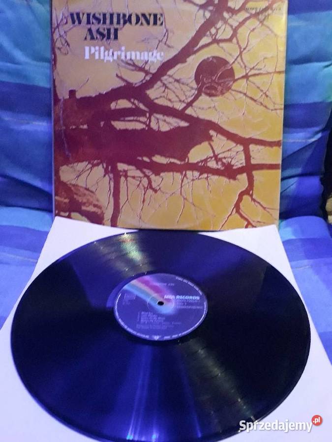 Archiwalne wykopalisk rocka WISHBONE ASH 2LP 2 płyty Rzeszów
