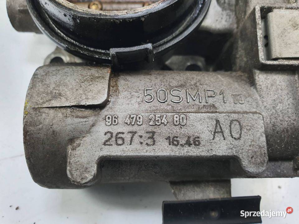 PRZEPUSTNICA PEUGEOT 307 9647925480 Lipno