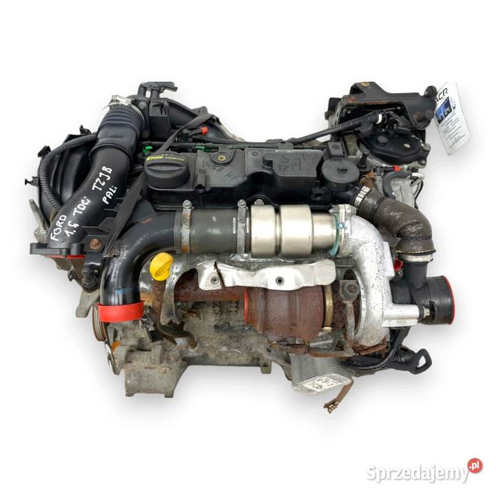 SILNIK TZJB Ford Fiesta VI VII MK7 16 TDCI 95 Chełm