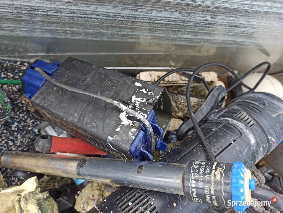 Akwarium z wyposażeniem Strzyżewo sprzedam