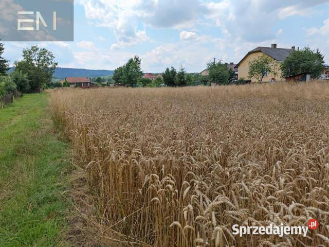 sprzedaży gruntu 3020m2 Godowa podkarpackie
