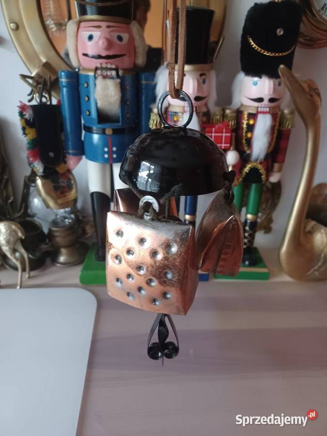 Dzwonki wietrzne wielkopolskie Poznań