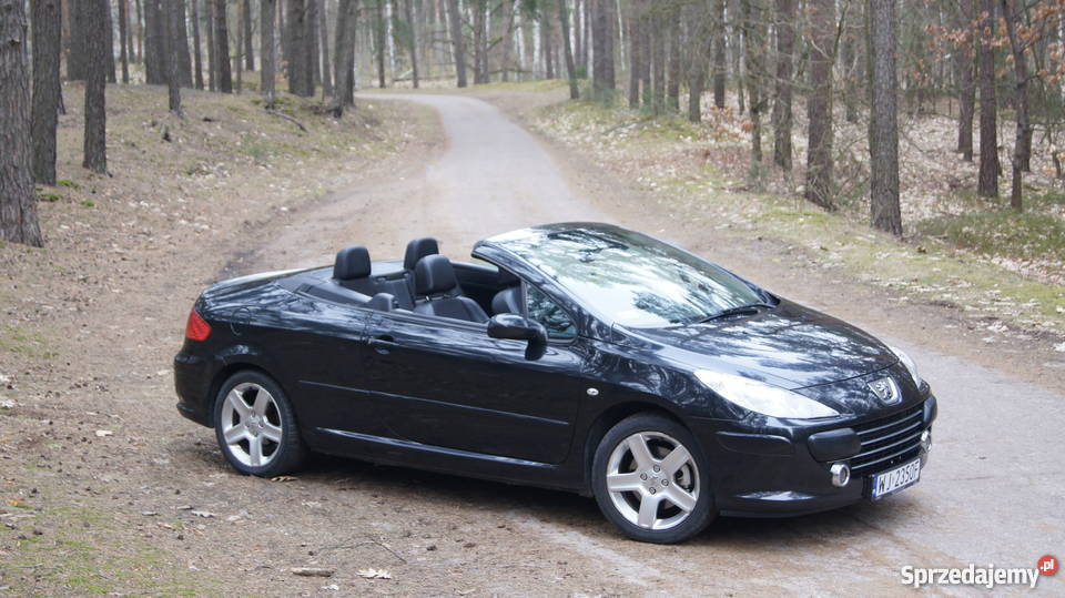 Peugeot 307 CC 2006 20 HDI Warszawa