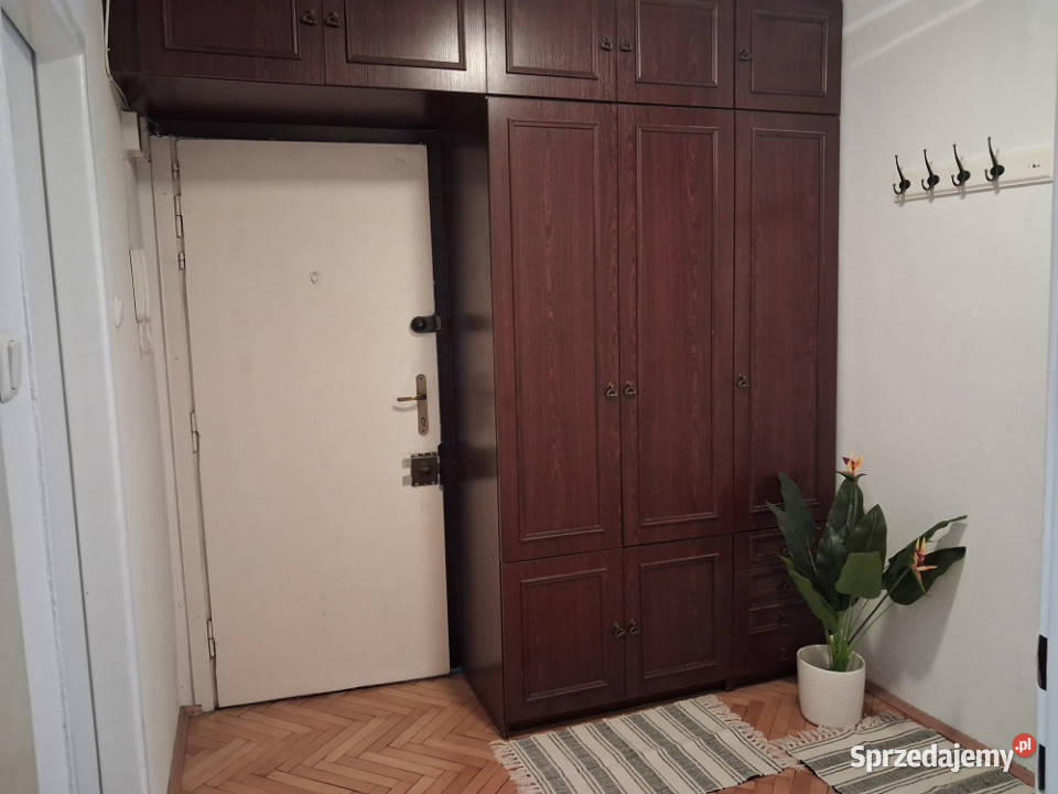 mieszkanie w centrum Kraków