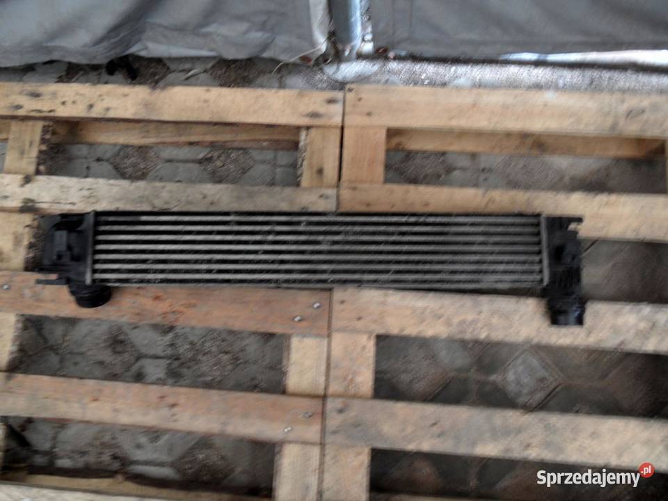 RENAULT GRAND SCENIC III 11r intercooler osobowe