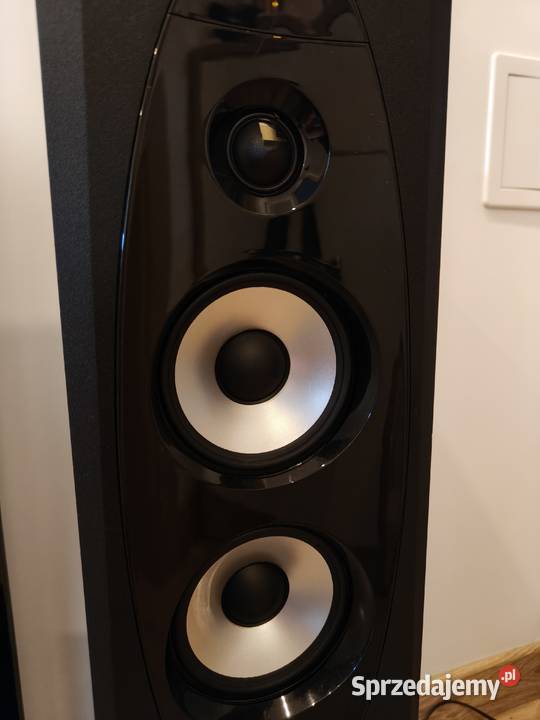 Kolumny aktywne Fenda T60X 110W Gdańsk