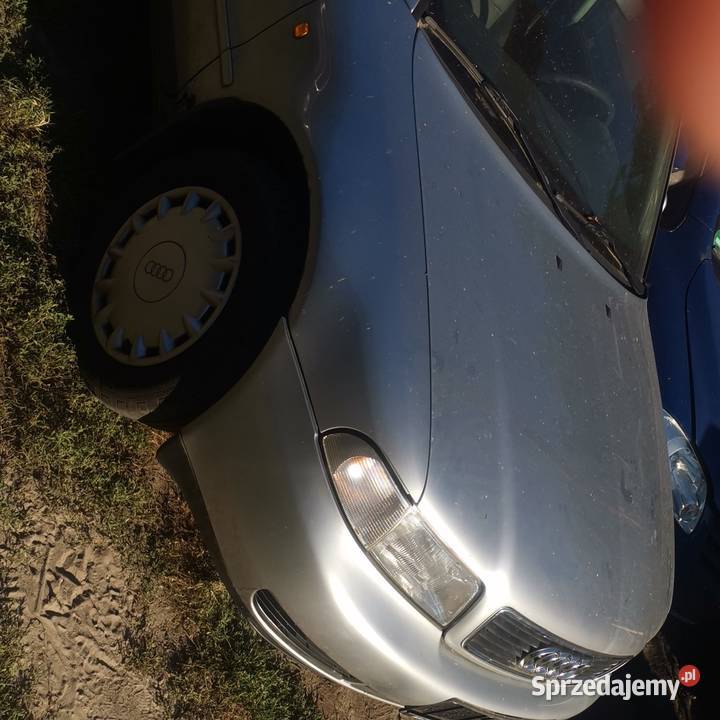 Audi a4 b5 części Gubin