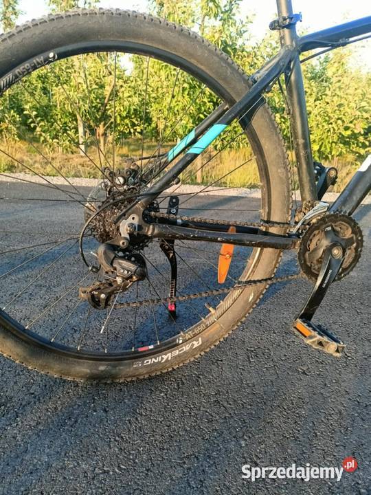 Trek marlin 5 Sport i Wypoczynek Byki