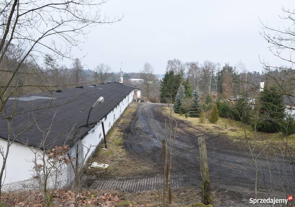 Ferma Drobiu hale produkcyjno przemysłowe Rolnictwo Miastko sprzedam