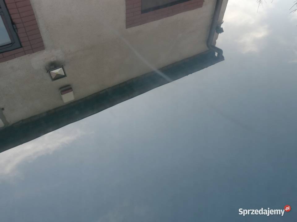 AUDI A8 D3 0305 MASKA PRZEDNIA PRZOD ZIELONA Maski Przemęt sprzedam