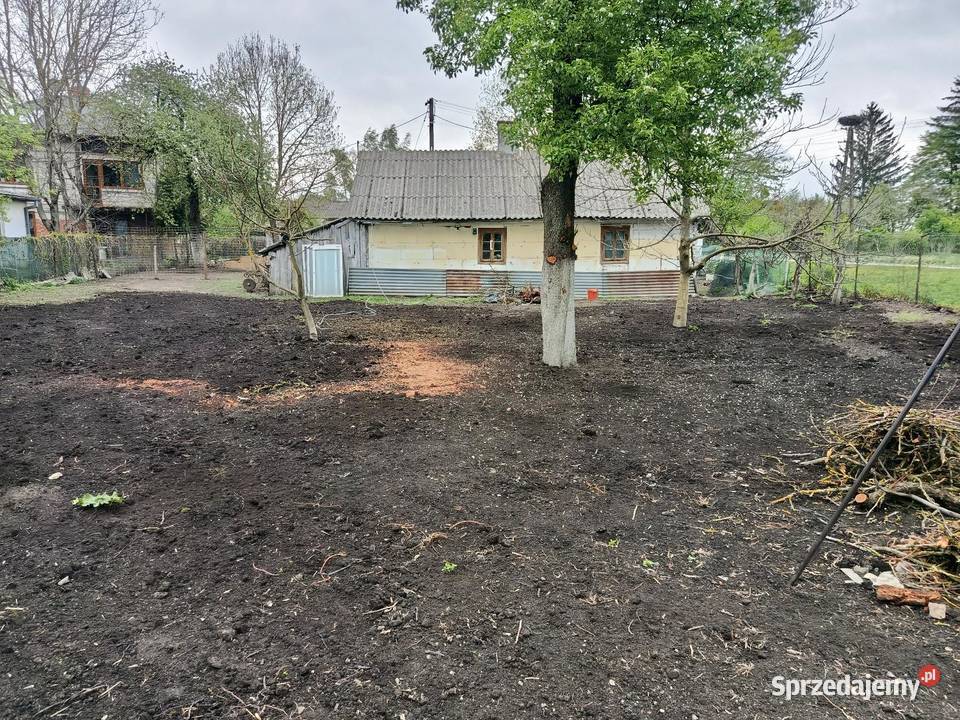 Siedlisko dom drewniany obora stodoła Niedziałowice Pierwsze