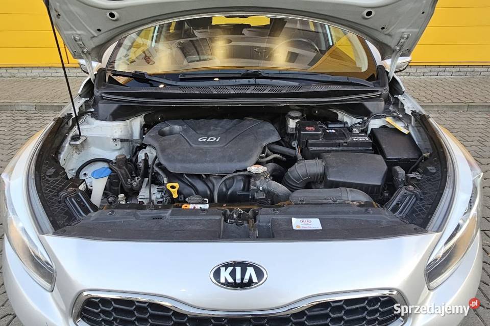 Kia Ceed ceed zadbana bez wkładu finansowego manualna Gorzów Wielkopolski