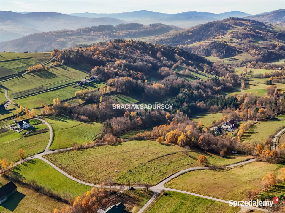 Grunt Kamionka Mała 130000m2 Sprzedaż