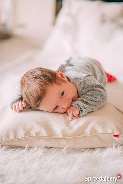 MINI sesja świąteczna 190 mazowieckie Warszawa