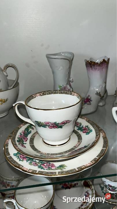 Mlecznik Duchess Madę in England Gdańsk