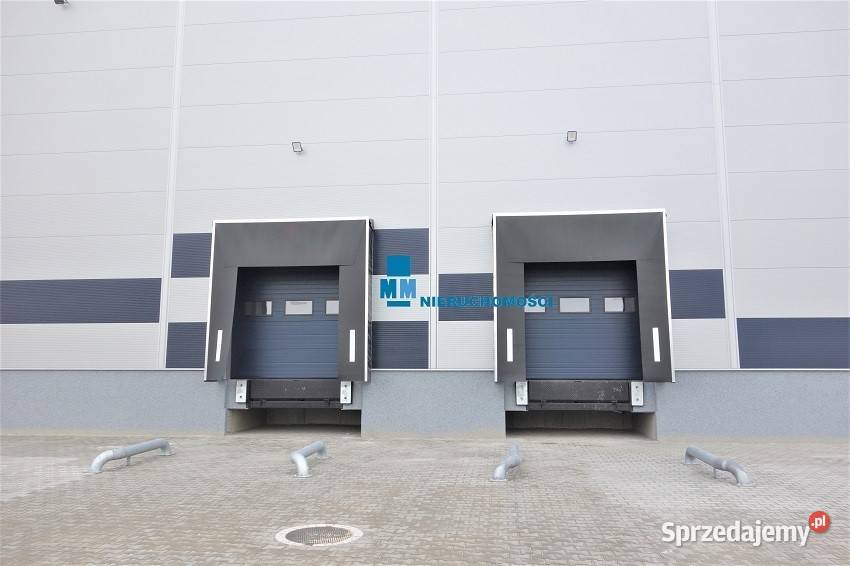 Hala do wynajęcia Siemianowice Śląskie winda Wynajem