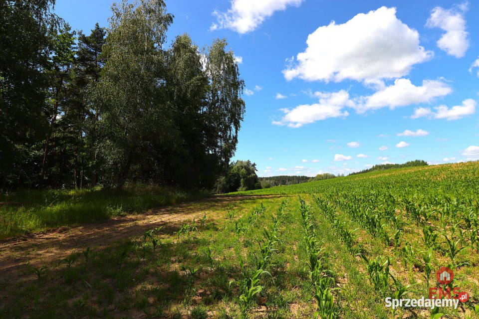 Działka 1100m2 Rożyńsk Wielki warmińsko-mazurskie