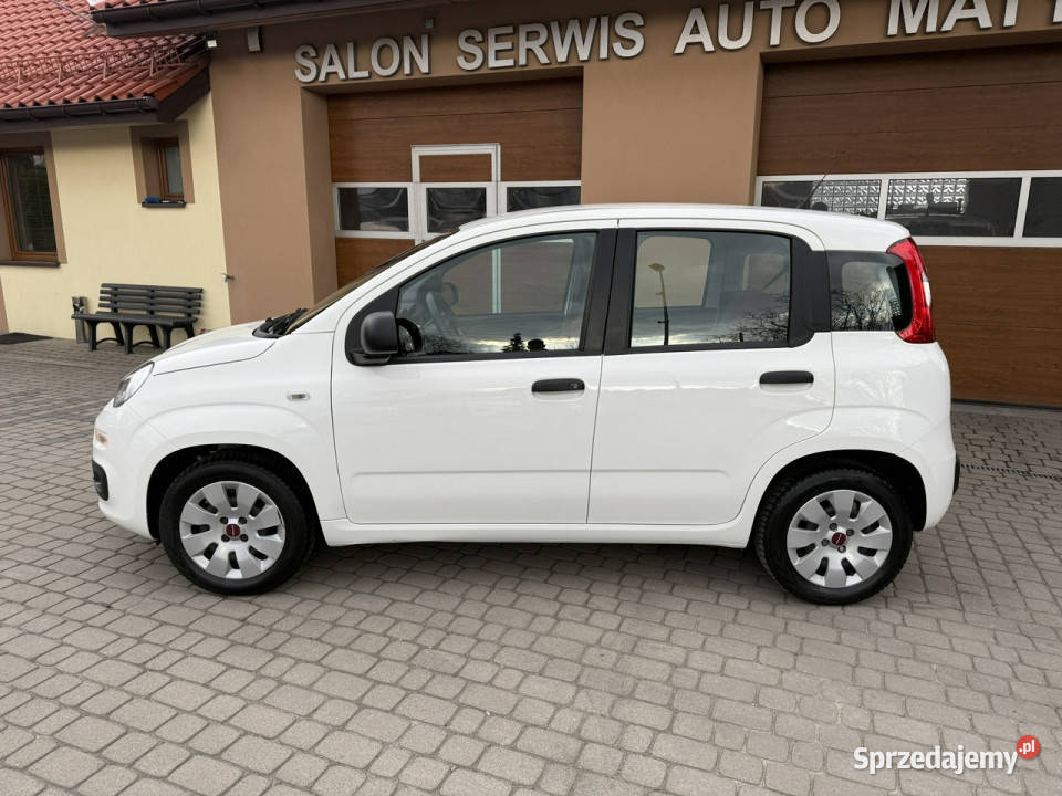 Fiat Panda Rezerwacja III 2011 Panda Orzech