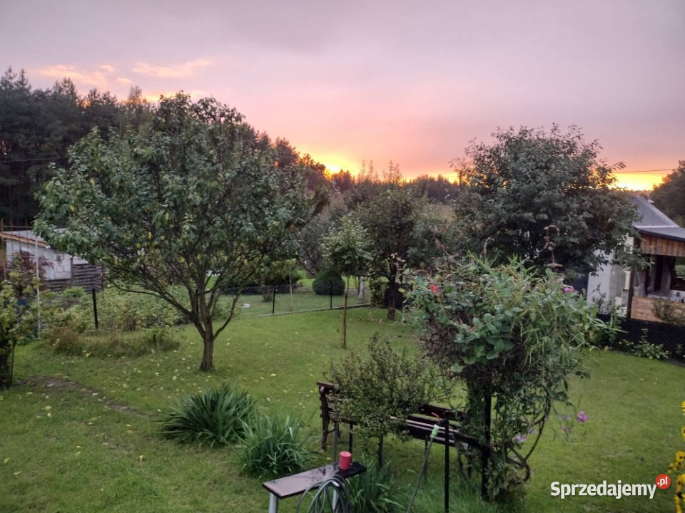 Działka ROD z domkiem 2025 Aleksandrów Kujawski sprzedam