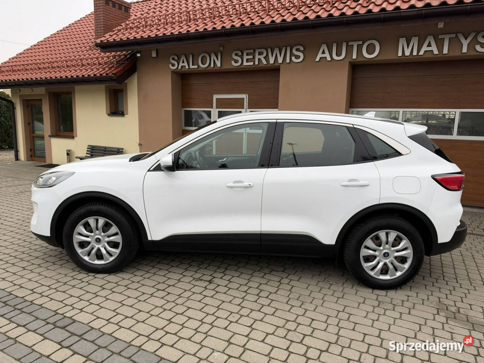 Ford Kuga 15 EcoBoost 120 III 2019 Orzech