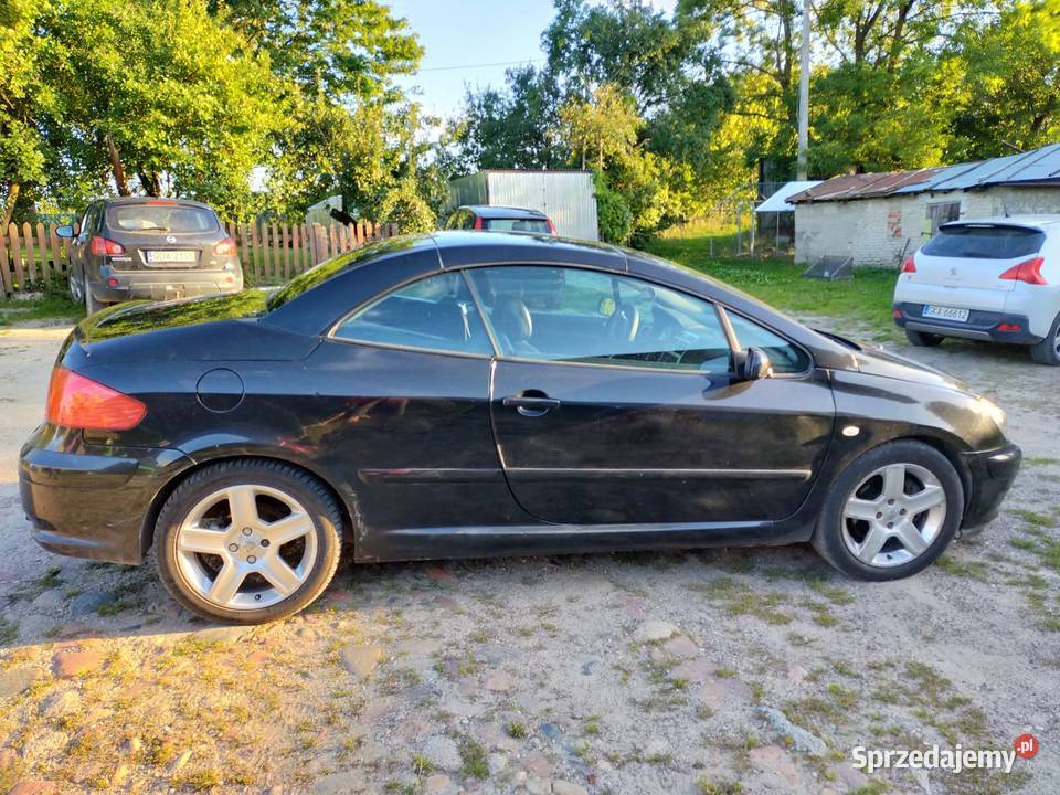 Peugeot 307 CC kabriolet 20 benzyna Roztoka