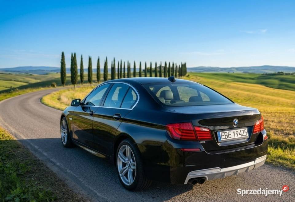 BMW Seria 5 F10 MPakiet skóry zadbany okazja łódzkie Bełchatów
